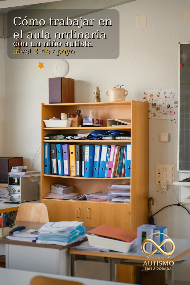 Aula ordinaria y niño autista nivel 3 de apoyo: estrategias reales